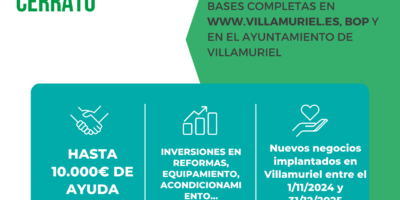 ayudas empresas 2025