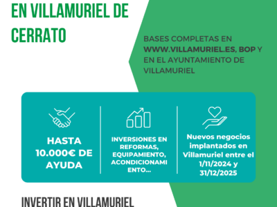 ayudas empresas 2025